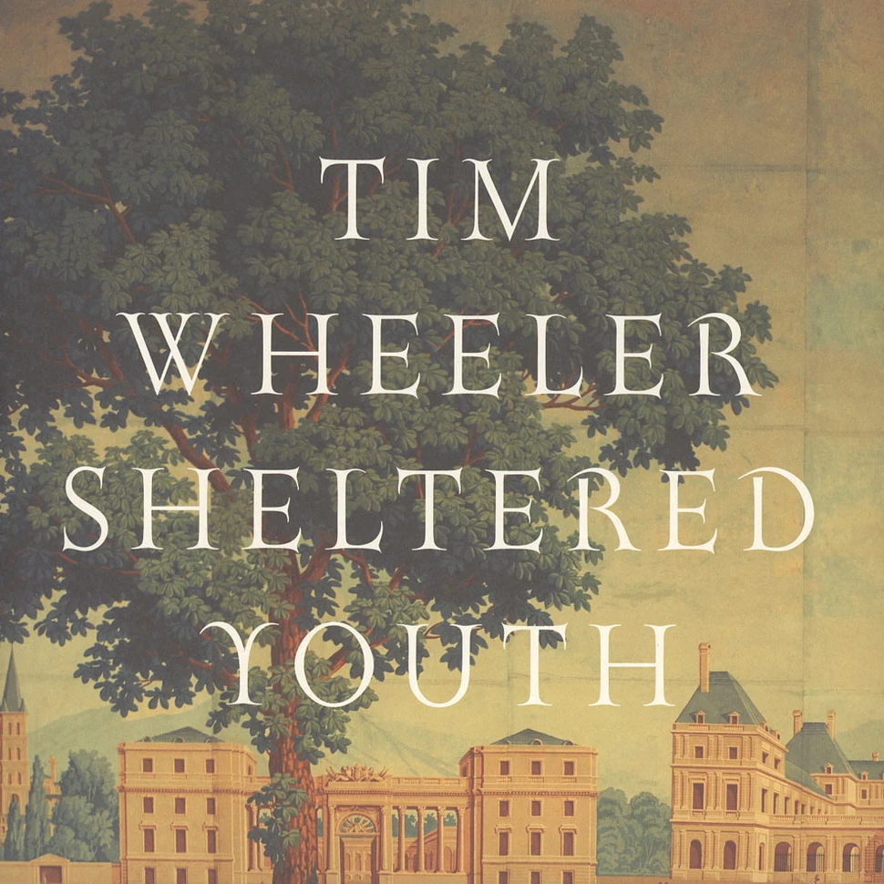 Tim Wheeler - Sheltered Youth EP