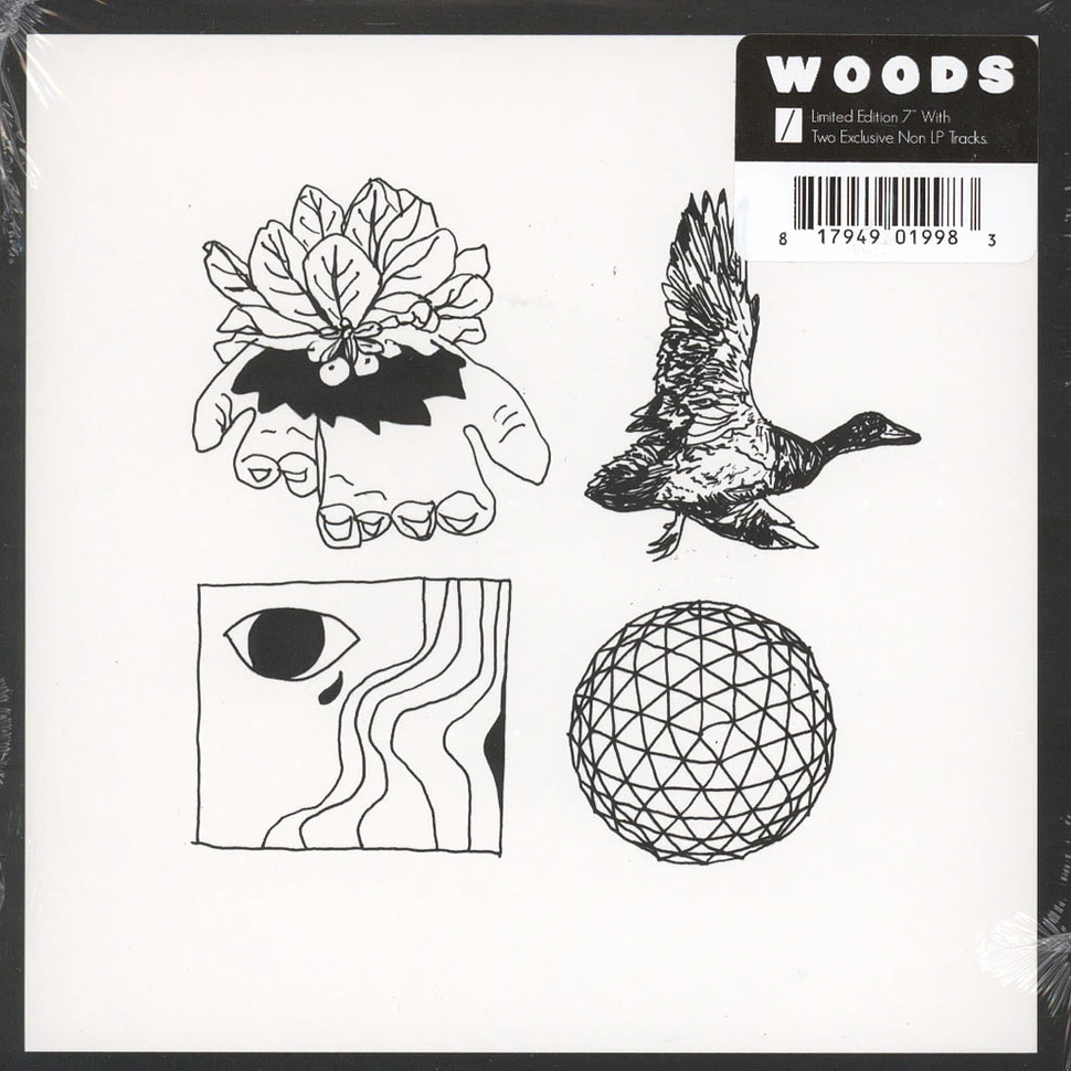 Woods - Tambourine Light
