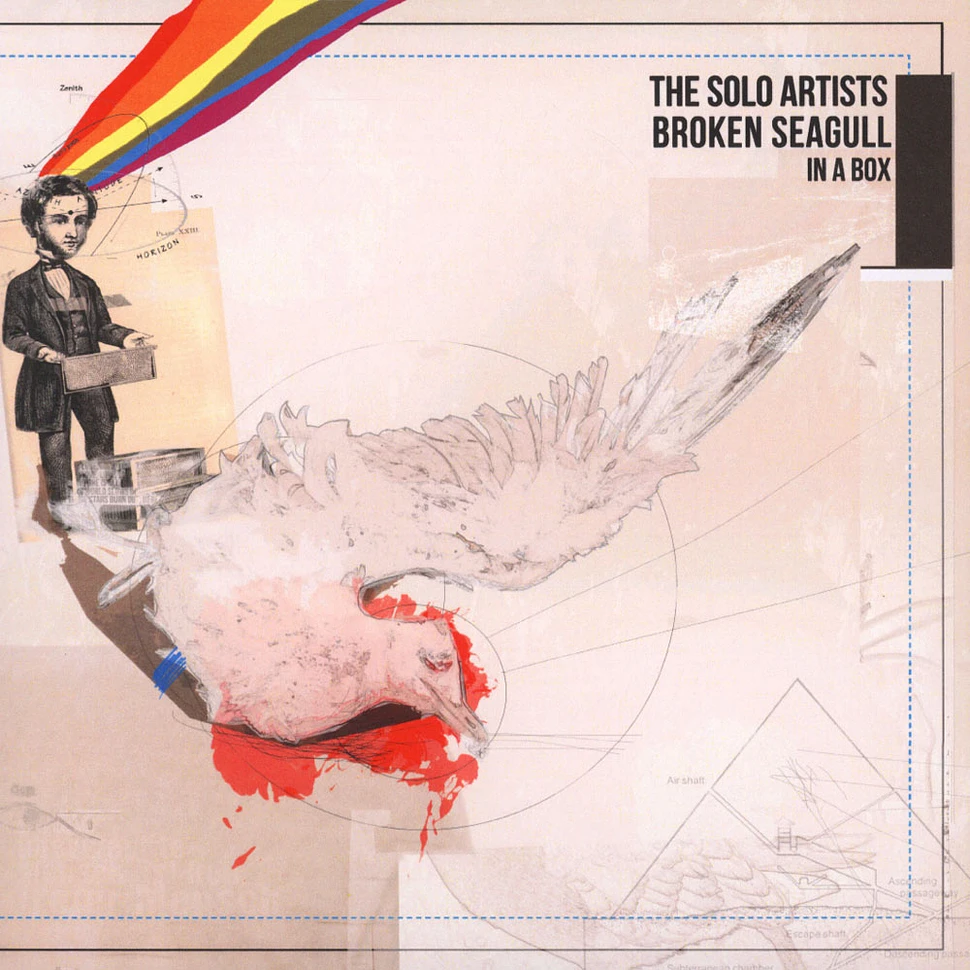 The Solo Artists - Broken Seagull In A Box / Golden Star