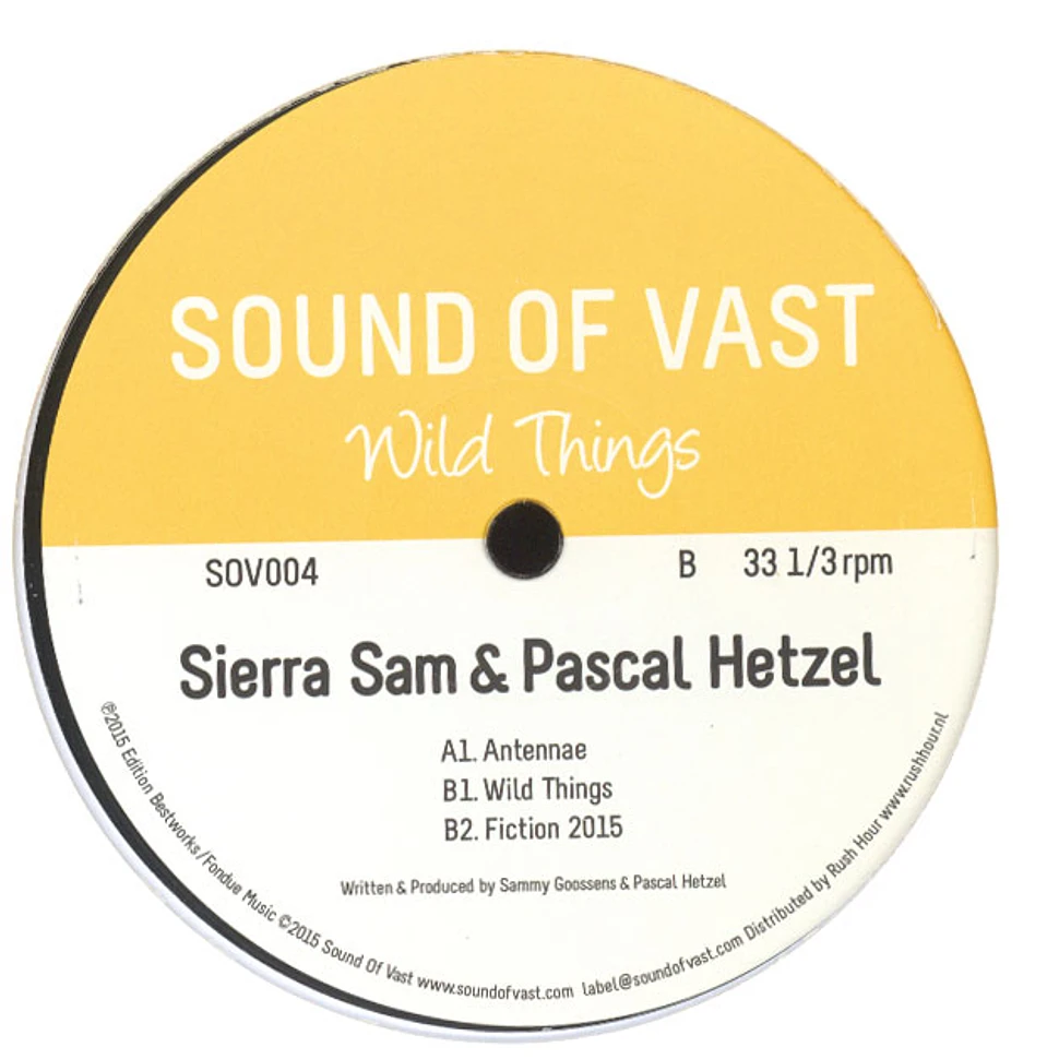 Sierra Sam & Pascal Hetzel - Wild Things EP