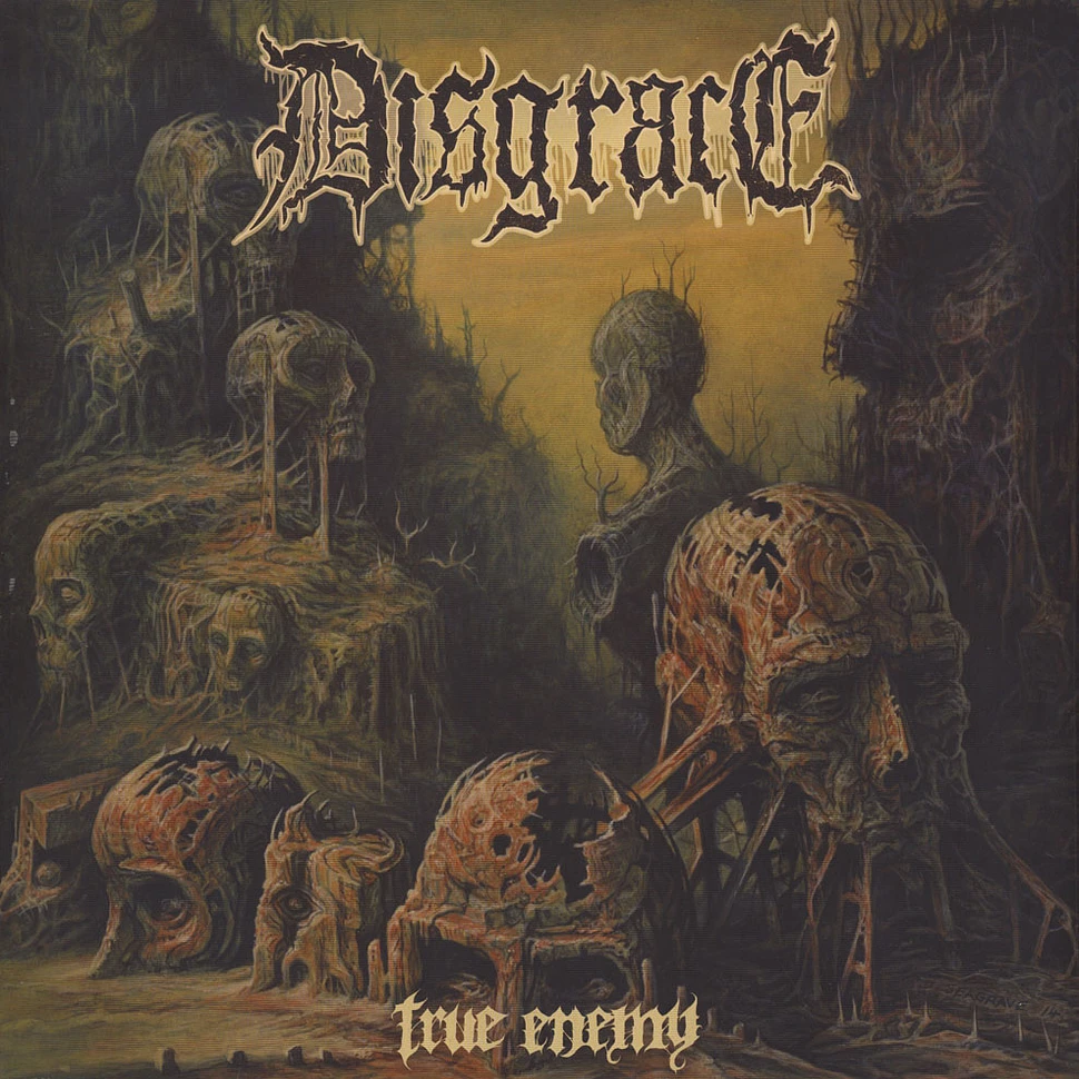 Disgrace - True Enemy