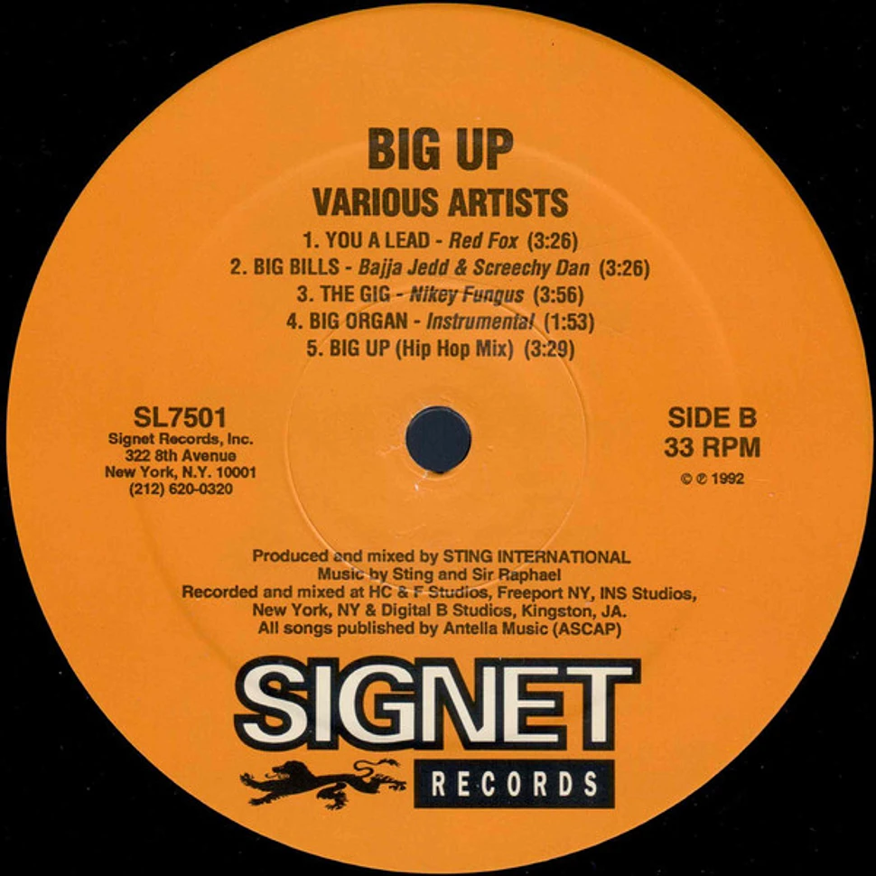 V.A. - Big Up