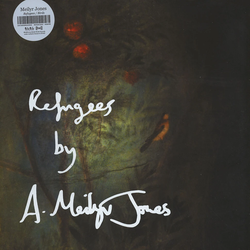 Meilyr Jones - Refugees / Birds