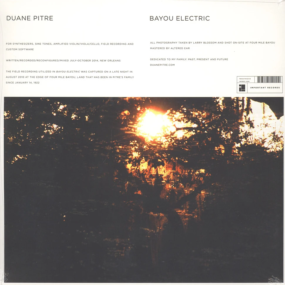Duane Pitre - Bayou Electric