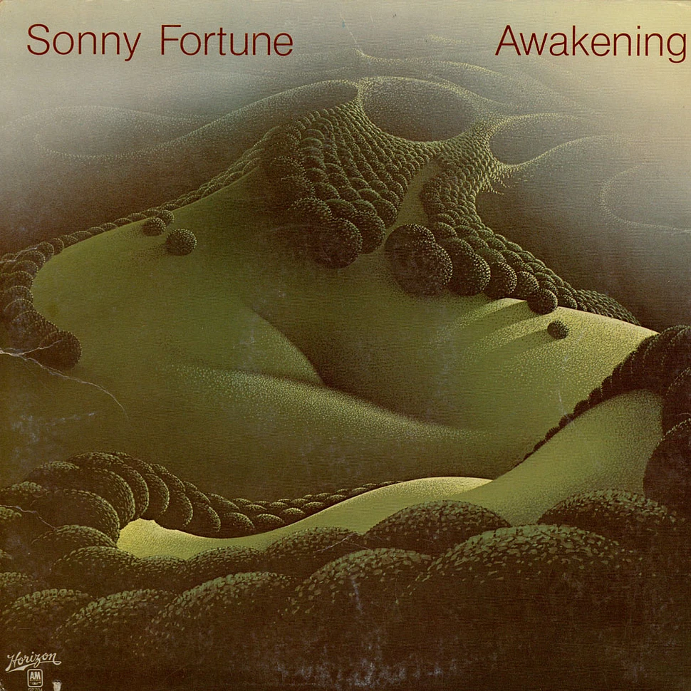Sonny Fortune - Awakening