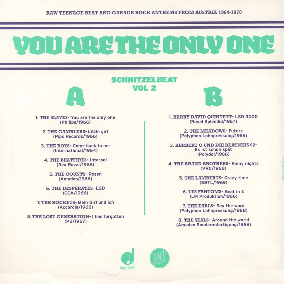 V.A. - Schnitzelbeat Volume 2: You Are The Only One