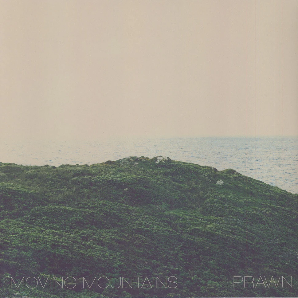 Moving Mountains / Prawn - Split