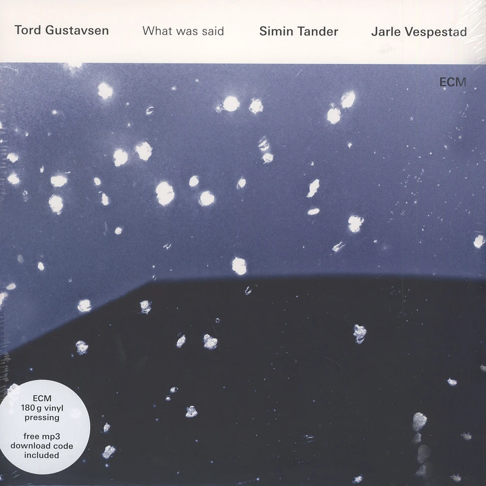 Gustavsen / Tander / Vespestad - What Was Said