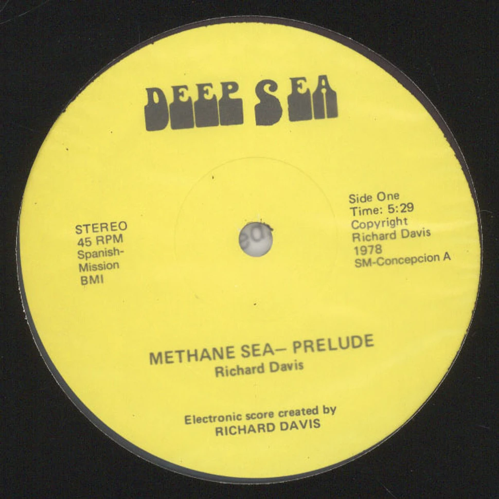 Richard Davis - Methane Sea