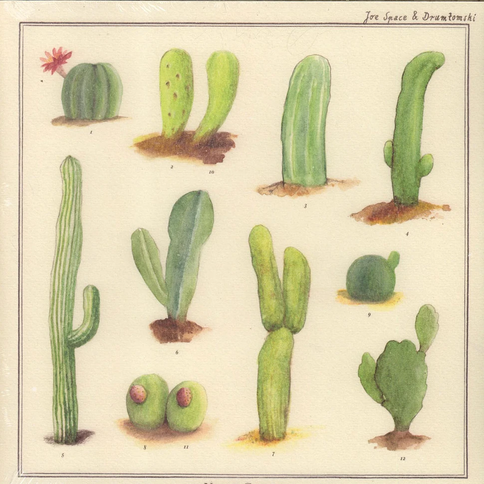 Joe Space & Drumtomski - Nudus Cactus