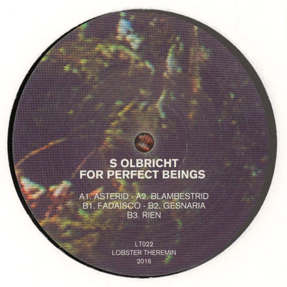 S Olbricht - For Perfect Beings