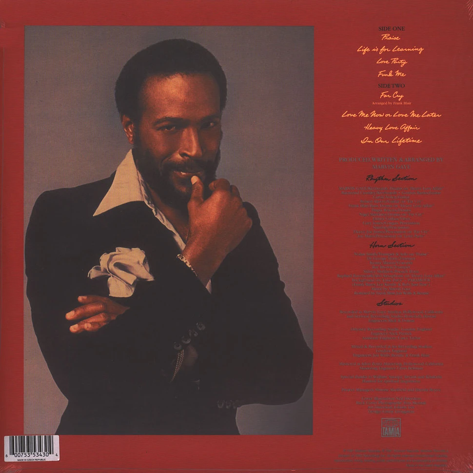 Marvin Gaye - In Our Lifetime