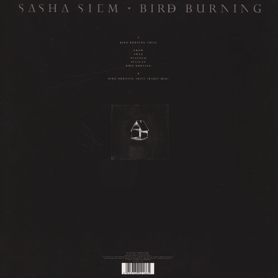 Sasha Siem - Bird Burning