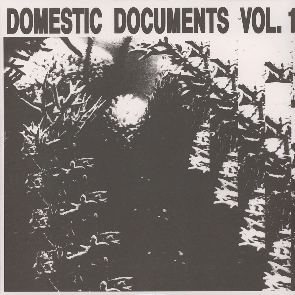 V.A. - Domestic Documents Volume 1