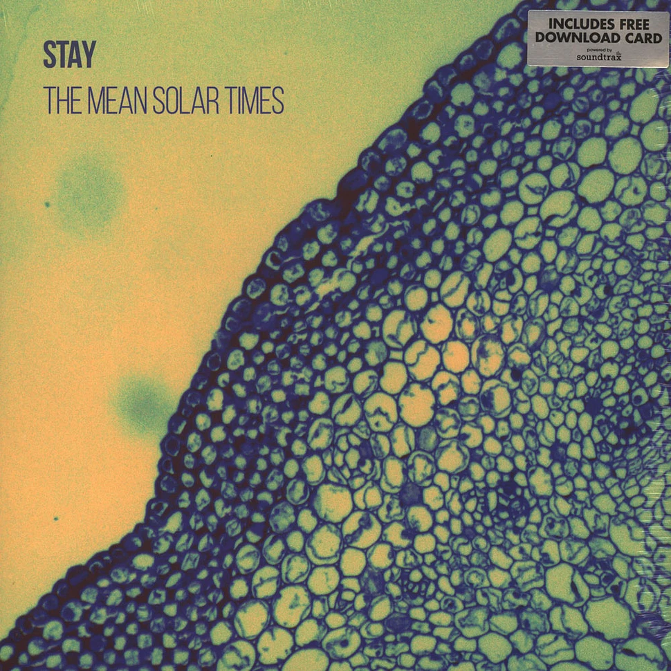Stay - The Mean Solar Times