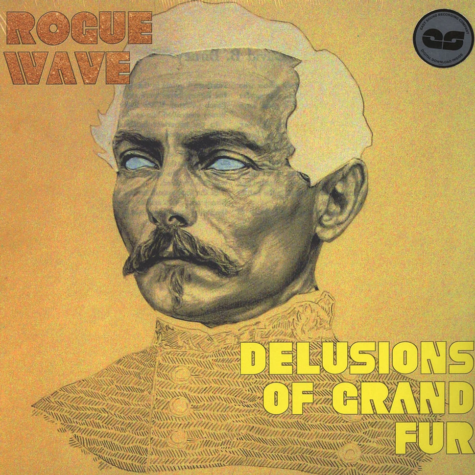 Rogue Wave - Delusions Of Grand Fur