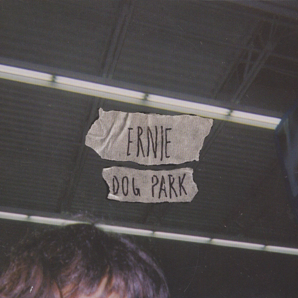 Ernie - Dog Park