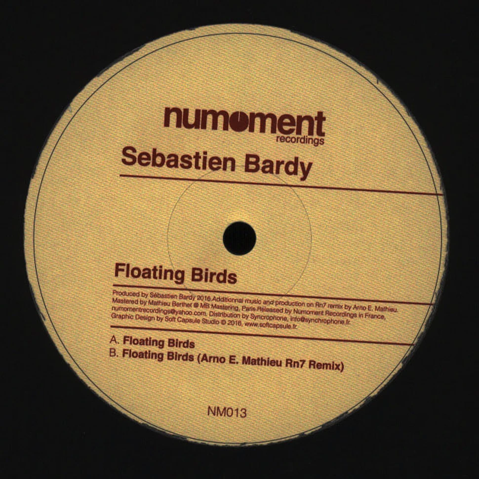 Sebastien Bardy - Floating Birds