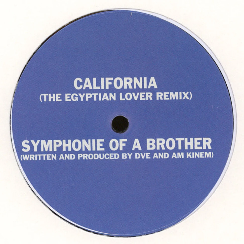 Damiano Von Erckert - California