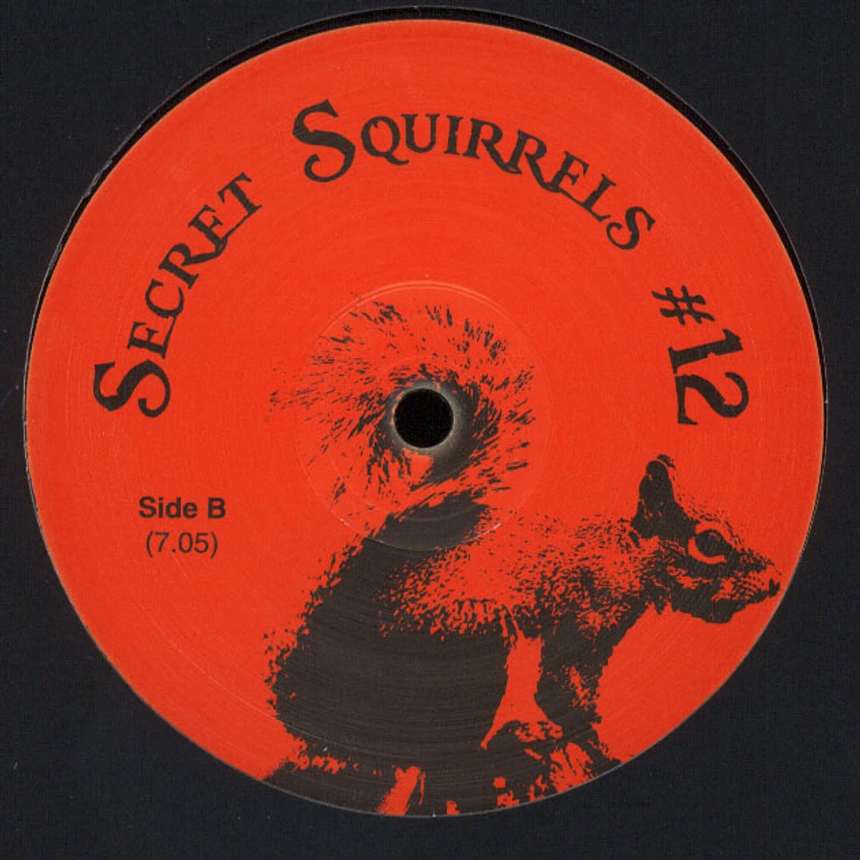 Secret Squirrel - #12