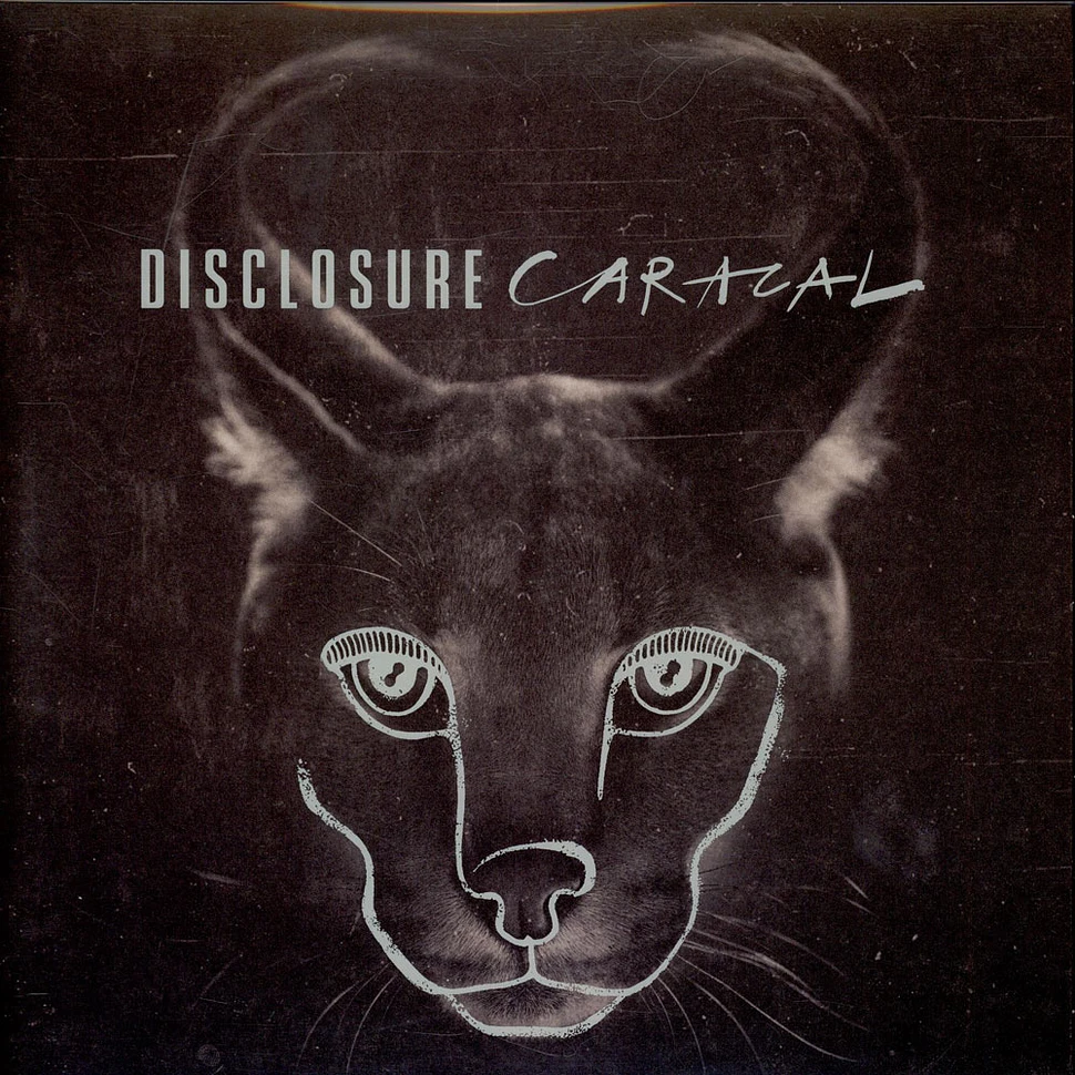 Disclosure - Caracal