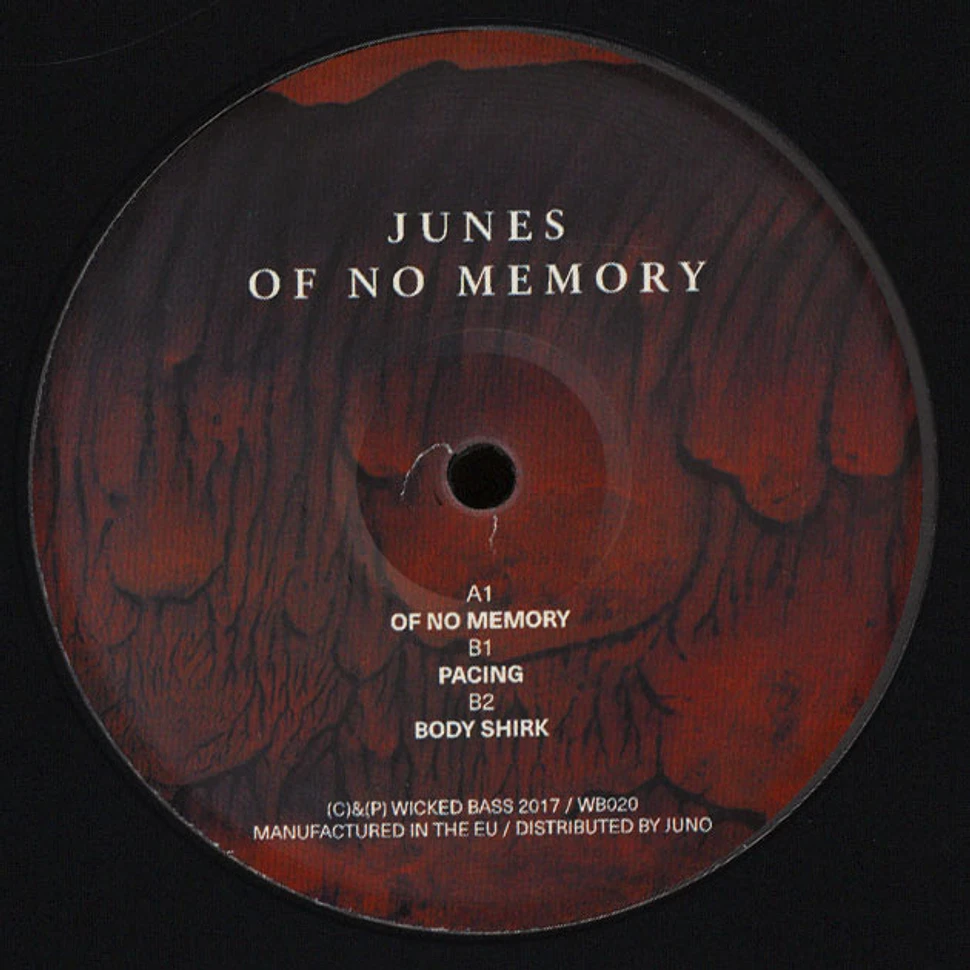 Junes - Of No Memory