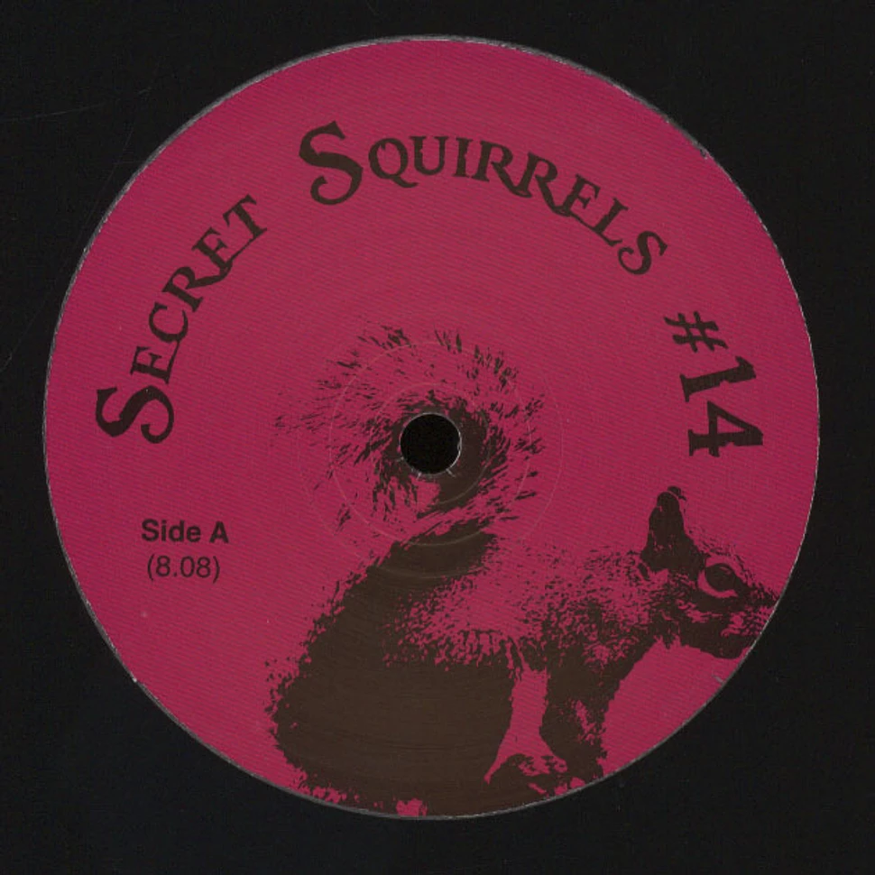 Secret Squirrel - #14