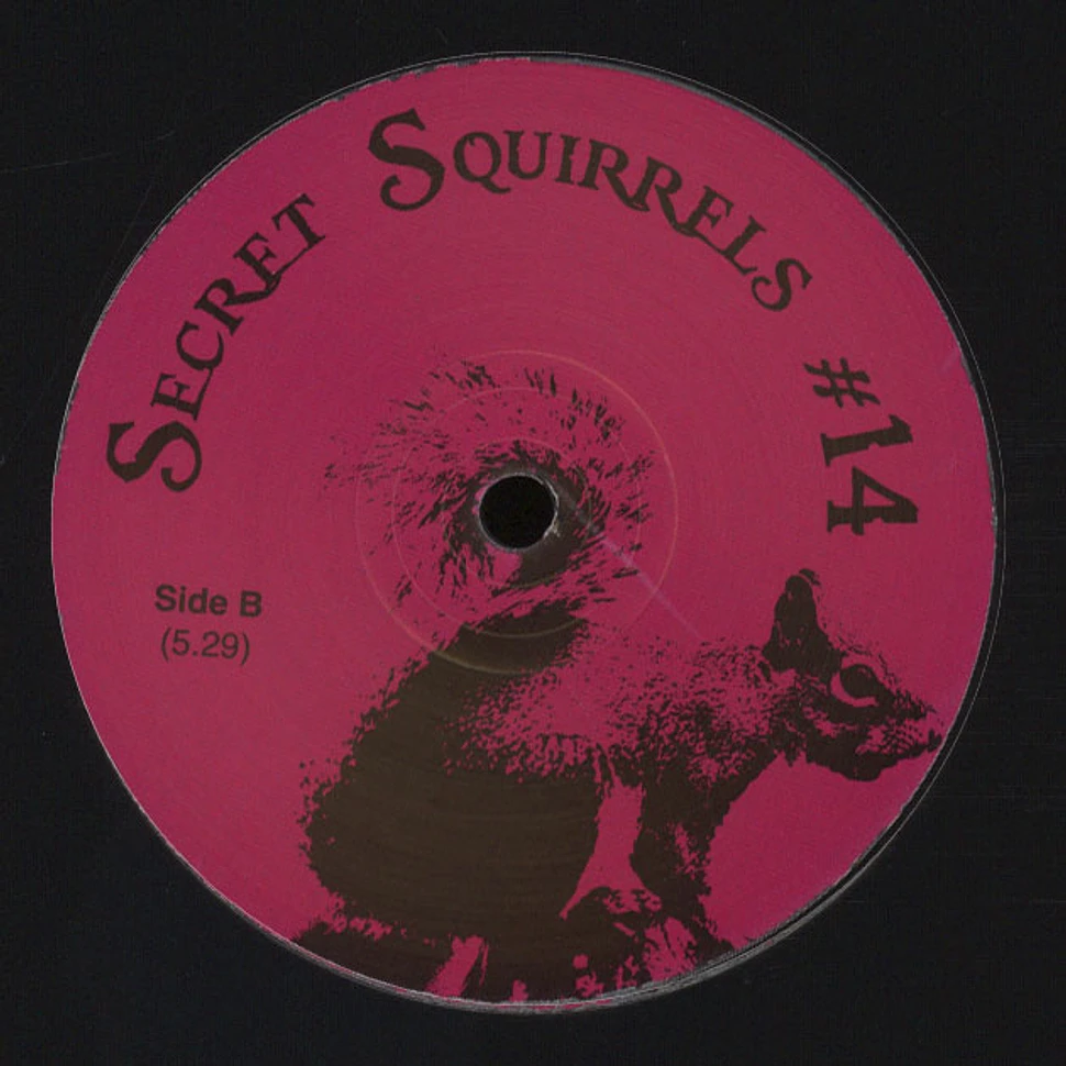 Secret Squirrel - #14