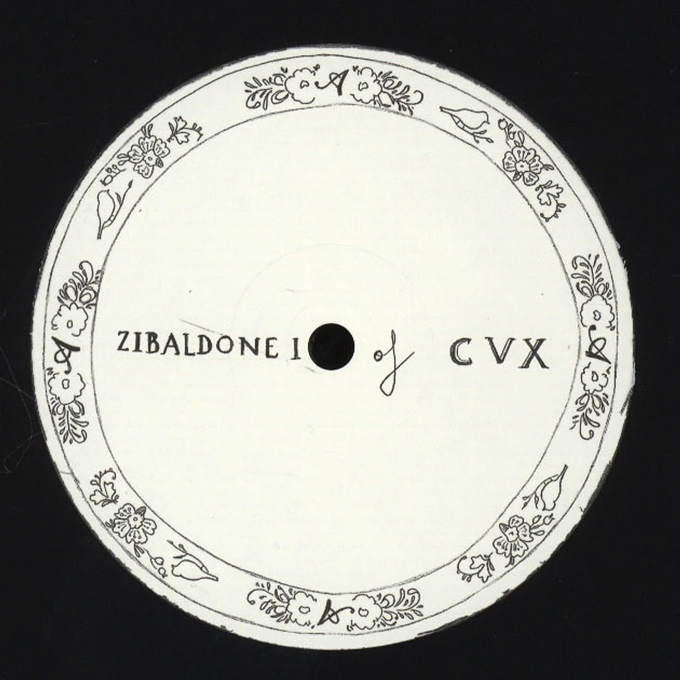 CVX - Zibaldone I of CVX