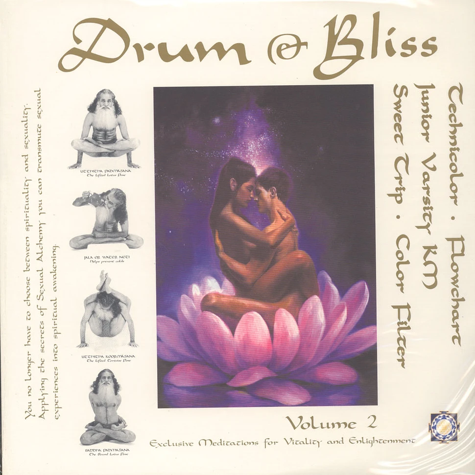 V.A. - Drum & Bliss Volume 2