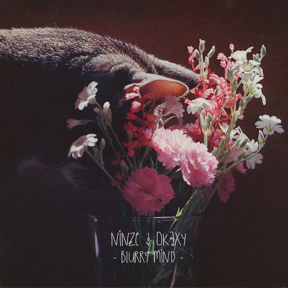 Ninze & Okaxy - Blurry Mind EP