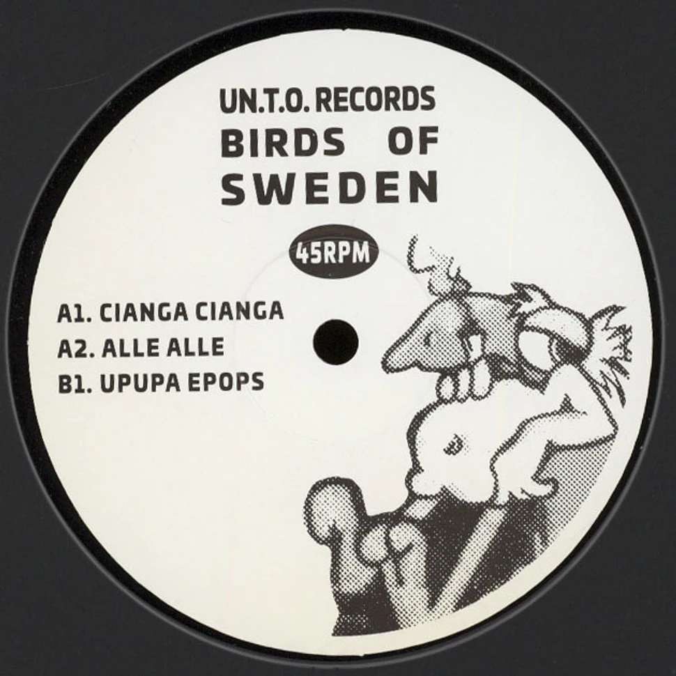 Birds Of Sweden (DJ Seinfeld) - Birds Of Sweden EP