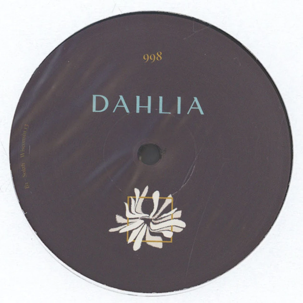 Solah - Dahlia998