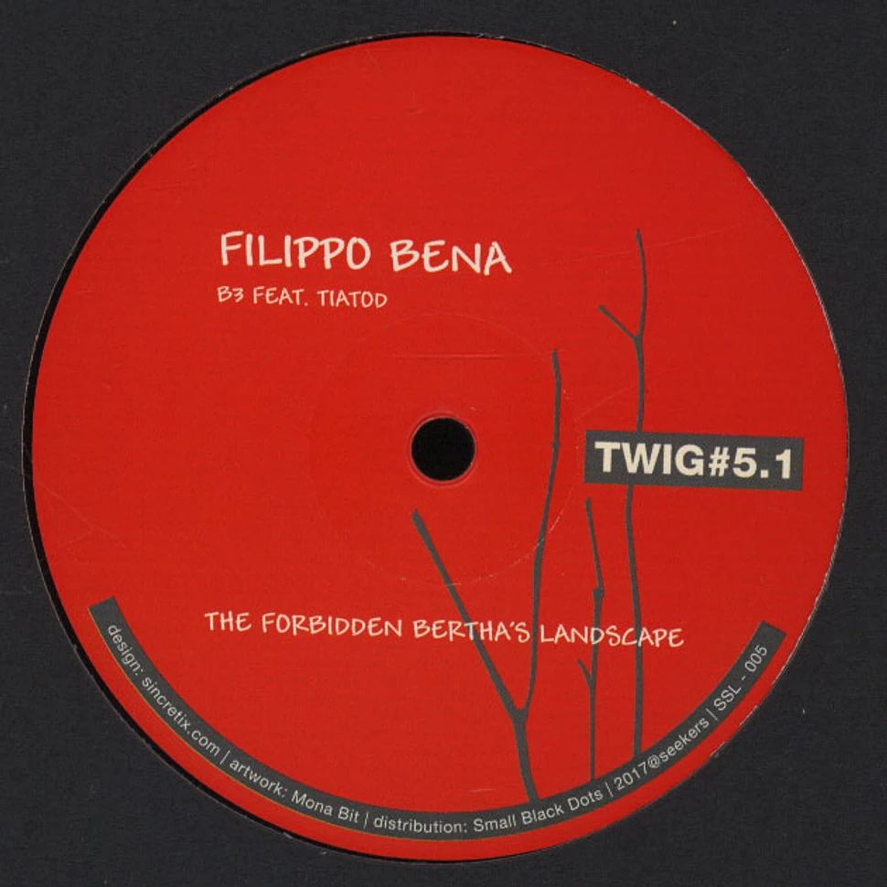 Filippo Bena - The Forbidden Bertha’s Landscape EP