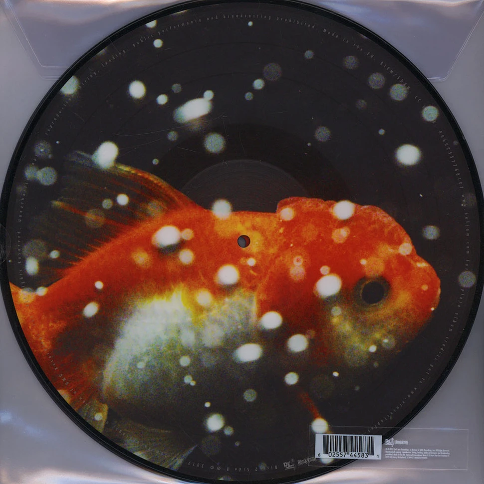 Vince Staples - Big Fish Theory Picture Disc Edition