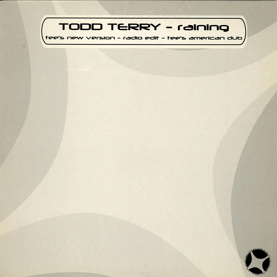 Todd Terry - Raining