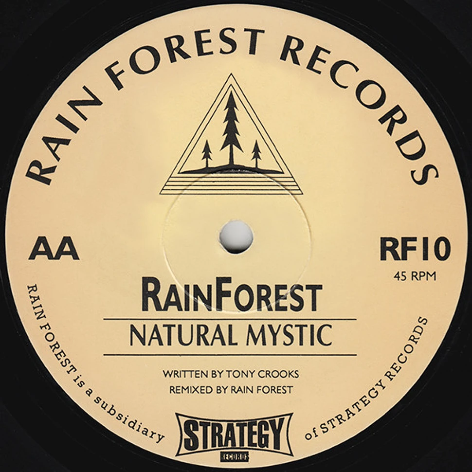 Rainforest - Gorillas' In The Mist / Natural Mystic