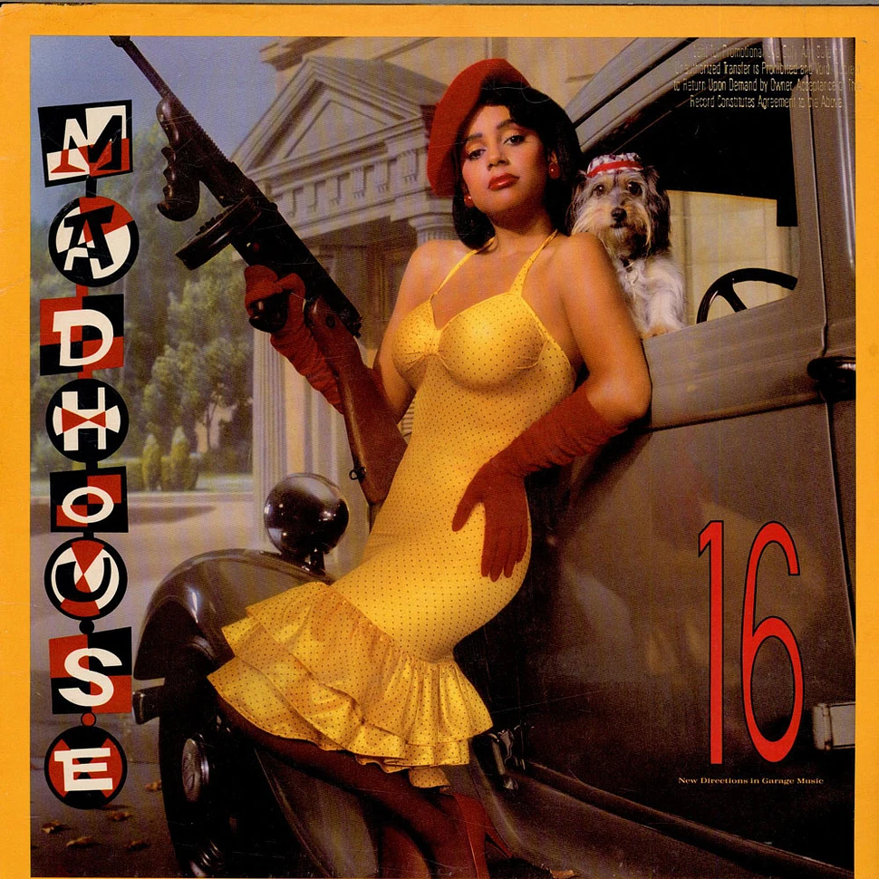 Madhouse - 16 (New Directions In Garage Music)
