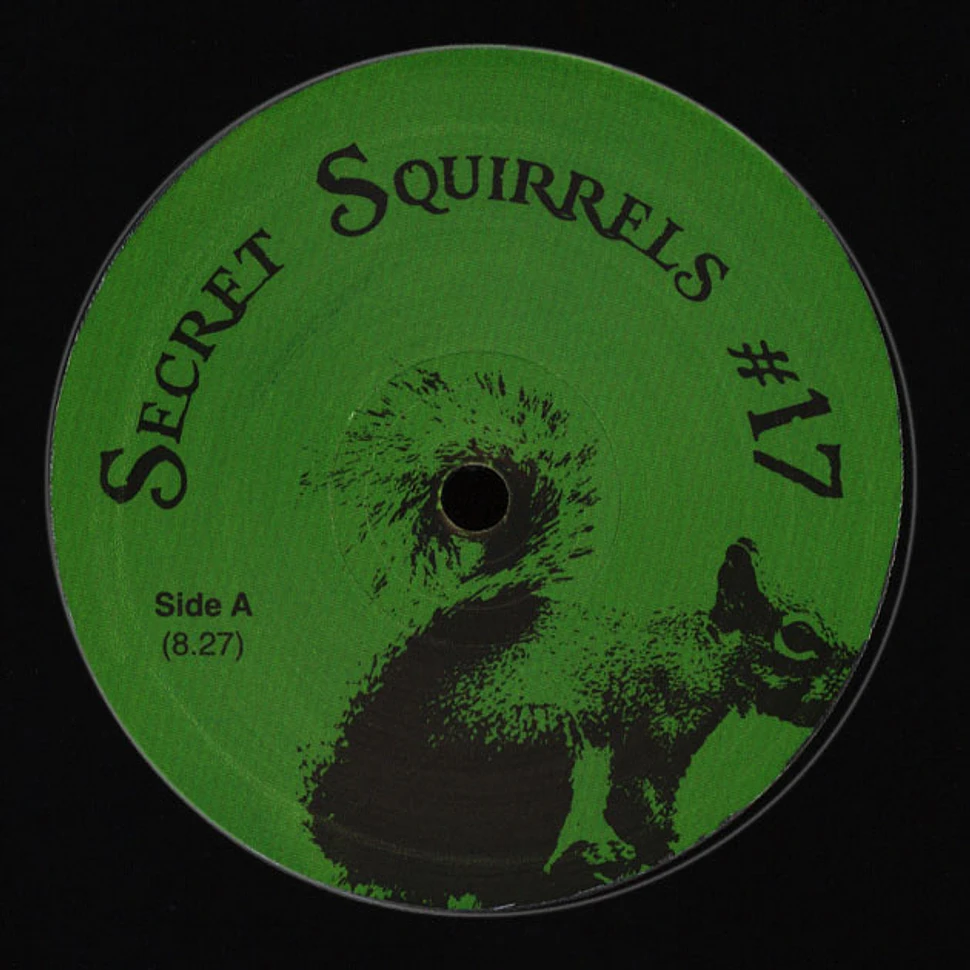 Secret Squirrels - #17
