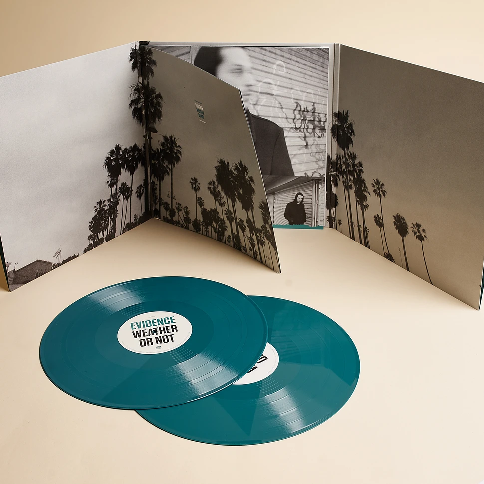 evidence レコード weather or not 2LP-