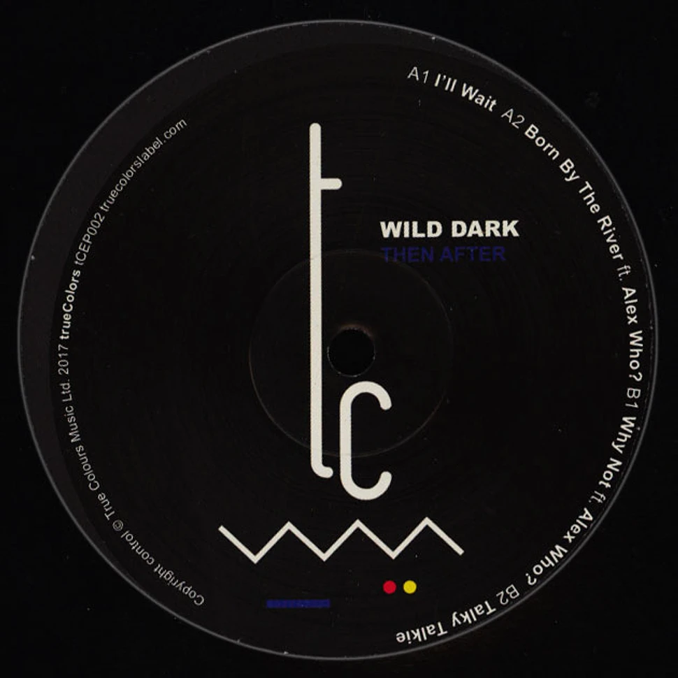 Wild Dark - Then After