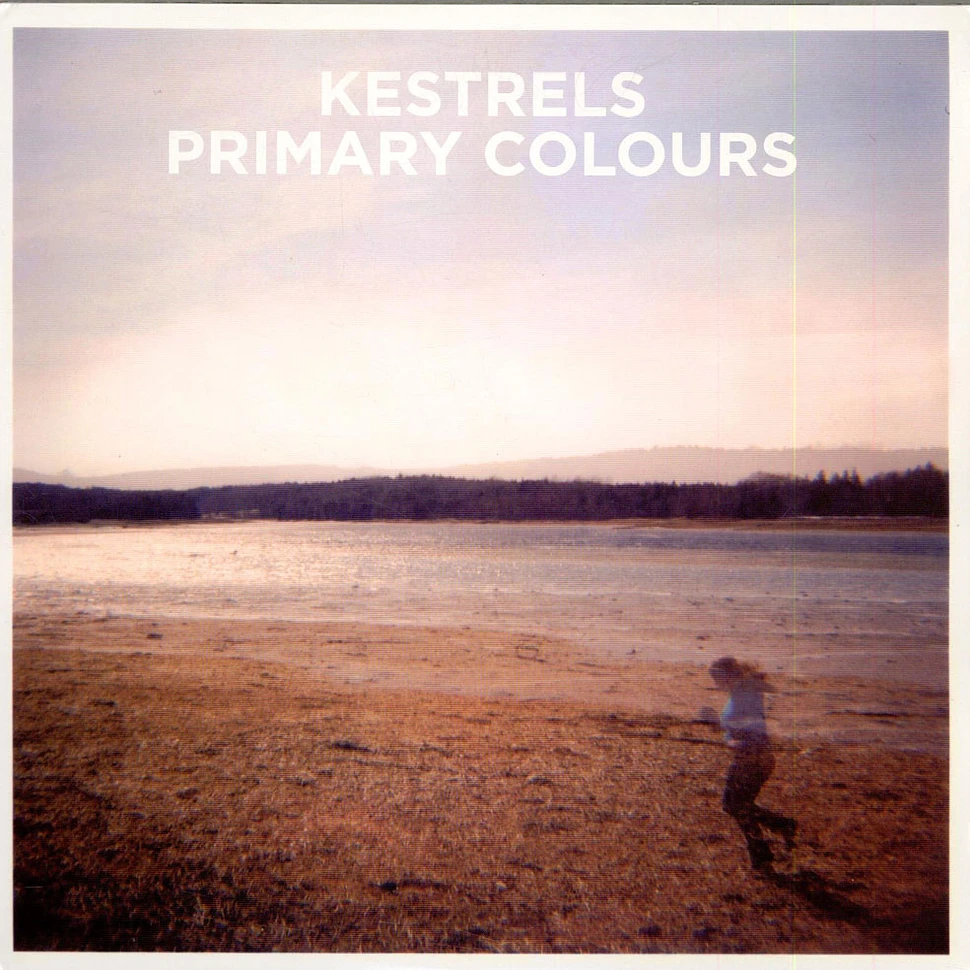 Kestrels - Primary Colours