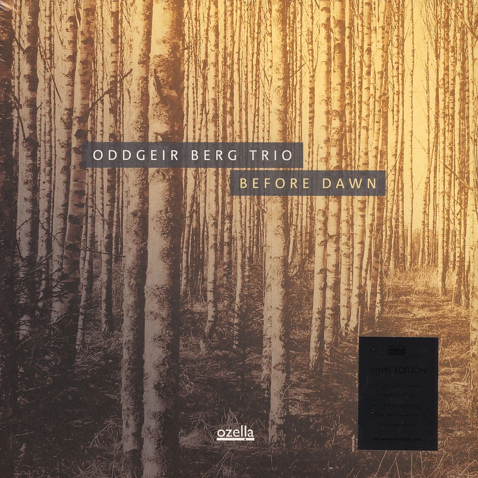 Oddgeier Berg Trio - Before