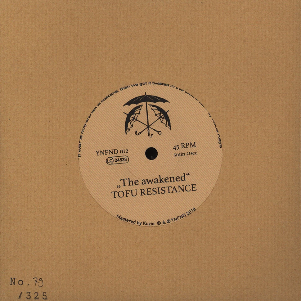 Daniel Holmes & Tofu Resistence - Madonna A Dite (II) / The Awakened