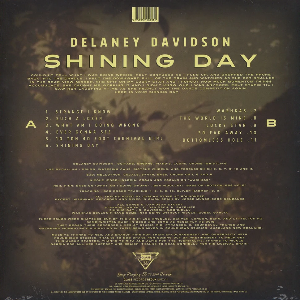 Delaney Davidson - Shining Day