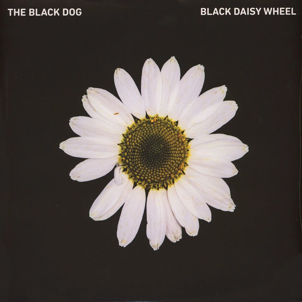 The Black Dog - Black Daisy Wheel
