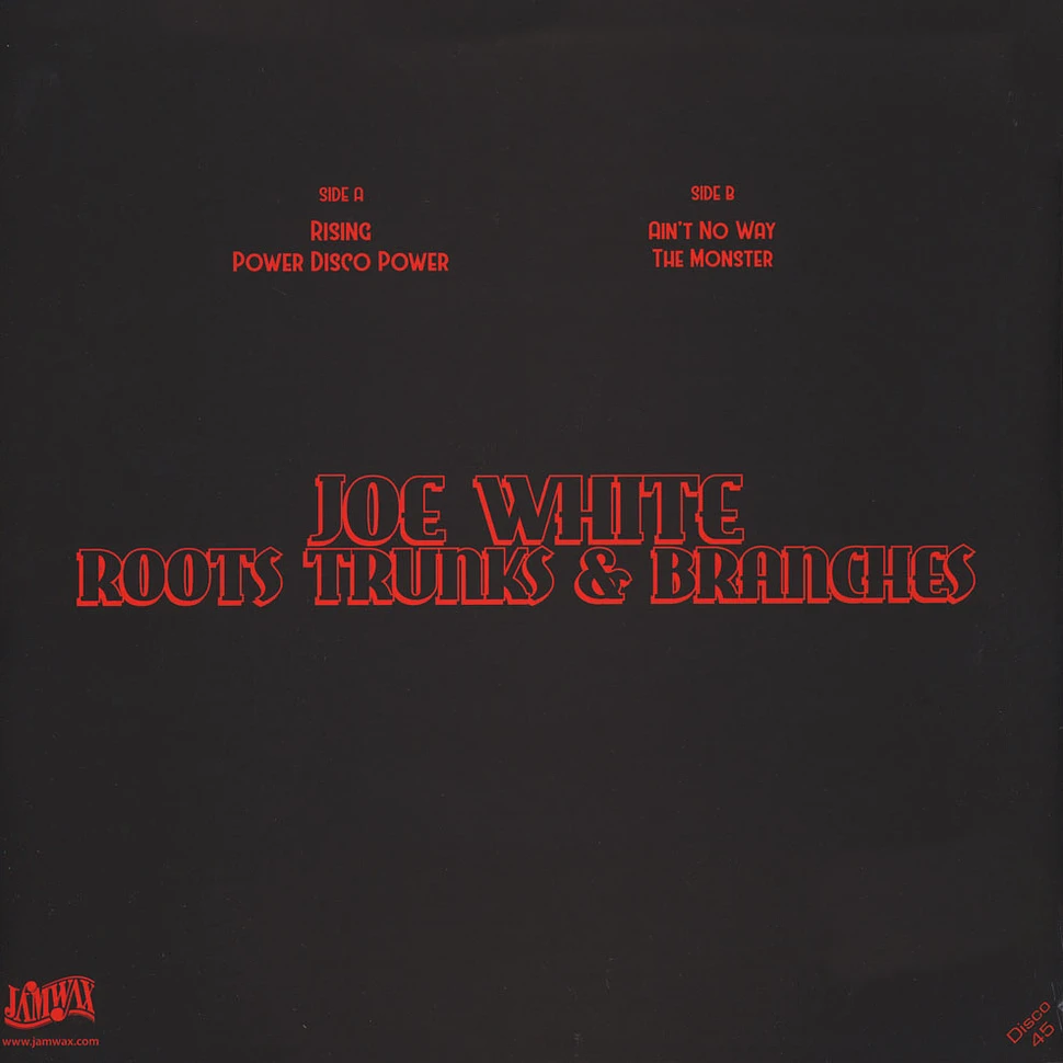 Joe White & Roots Trunks & Branches - Rising / Power Disco Power