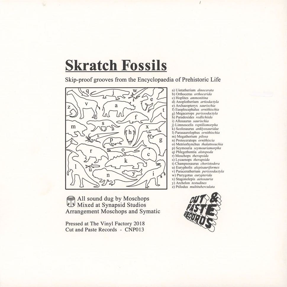 Moschops - Skratch Fossils
