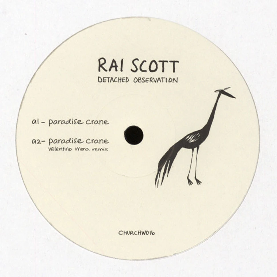 Rai Scott - Detached Observation