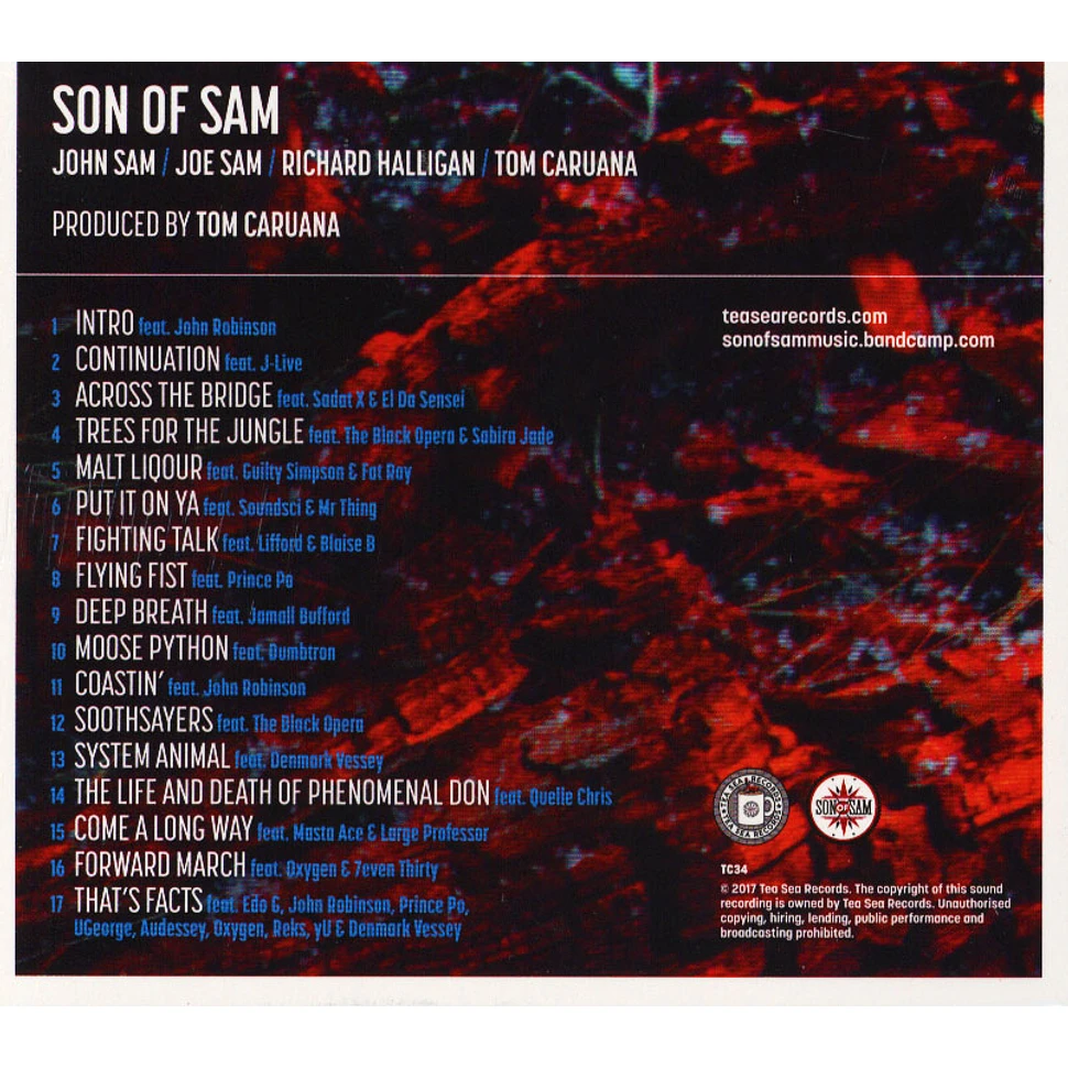 Son Of Sam - Cinder Hill